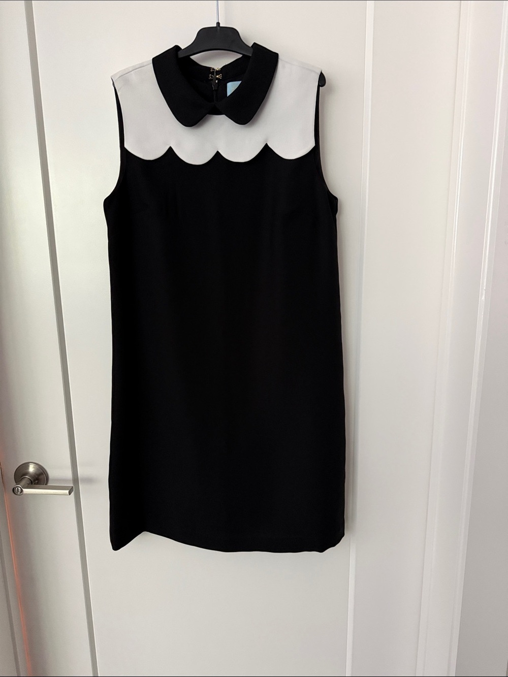 CeCe Black Dress with White Scalloped Yoke and Peter Pan Collar